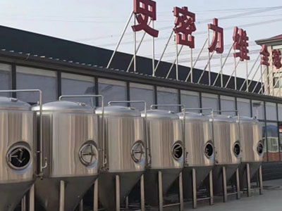 城中精酿啤酒设备厂—如何判断精酿啤酒设备的密封件需要更换？